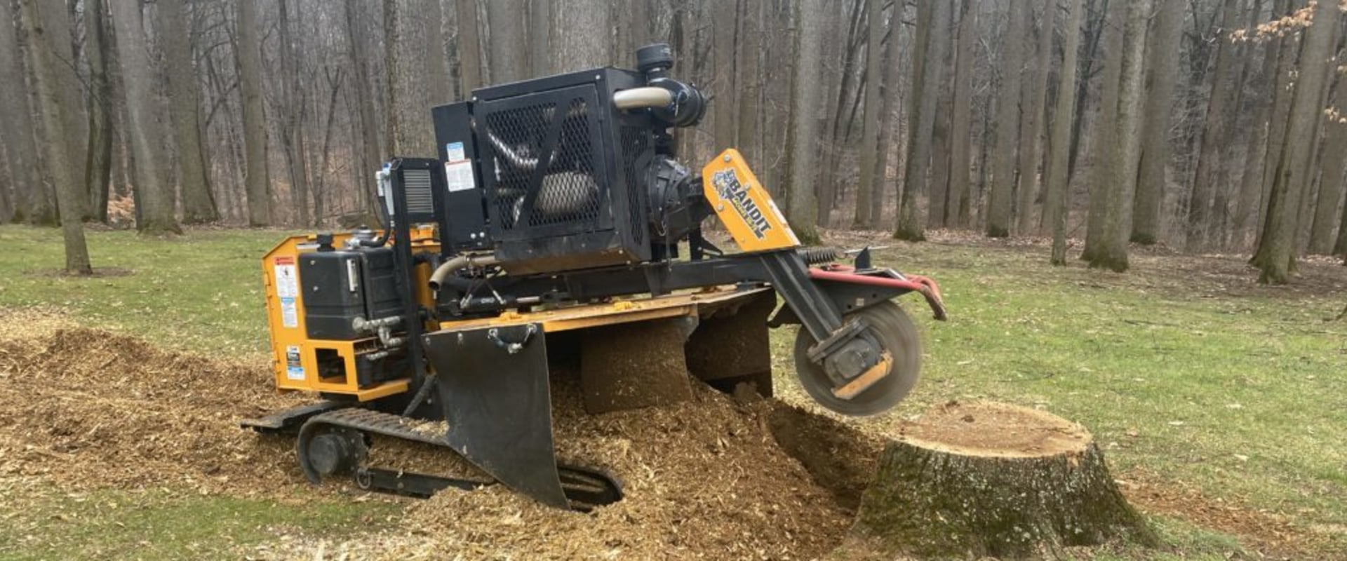 The Benefits of Stump Grinding: Why You Should Consider It