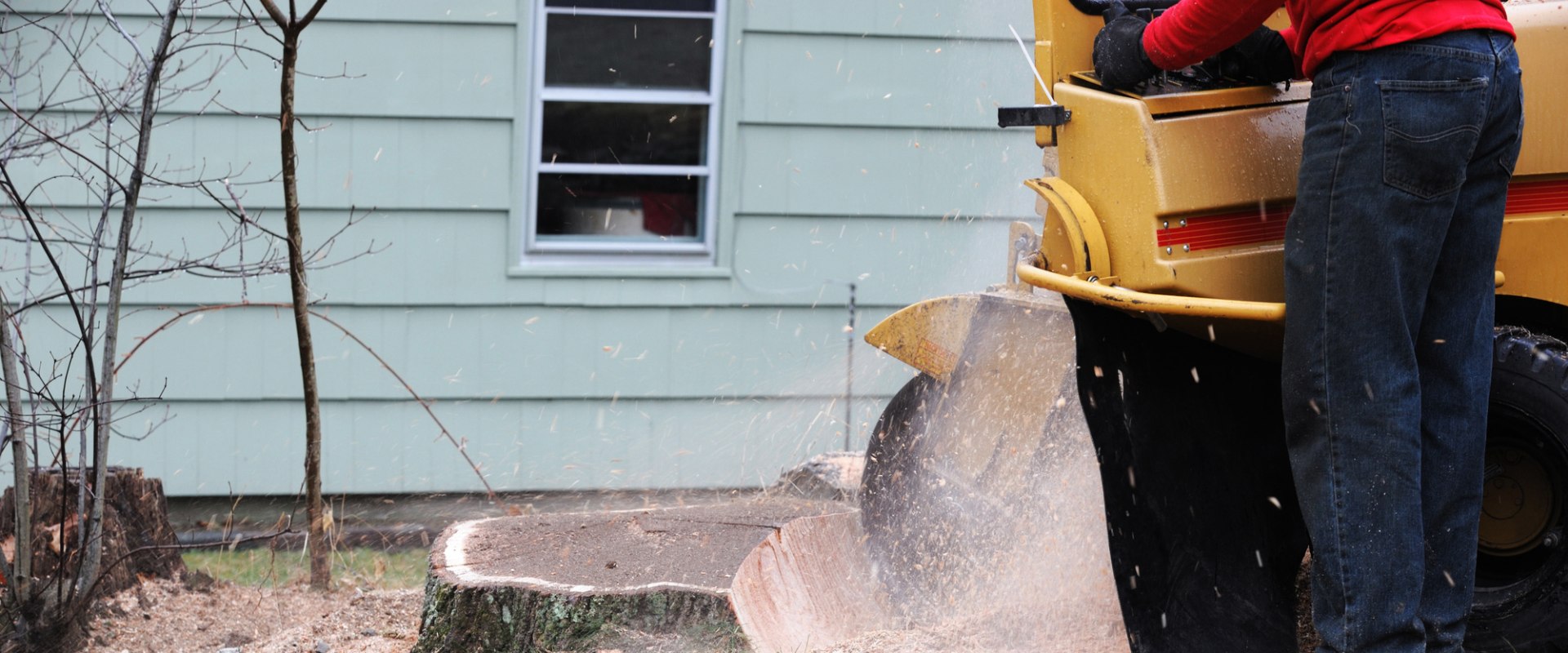 The Benefits of Stump Grinding: Why You Should Consider It