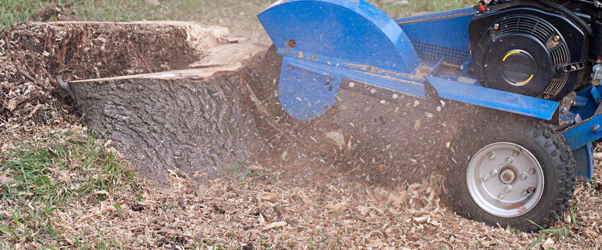 How Much Does Tree Stump Grinding Cost?