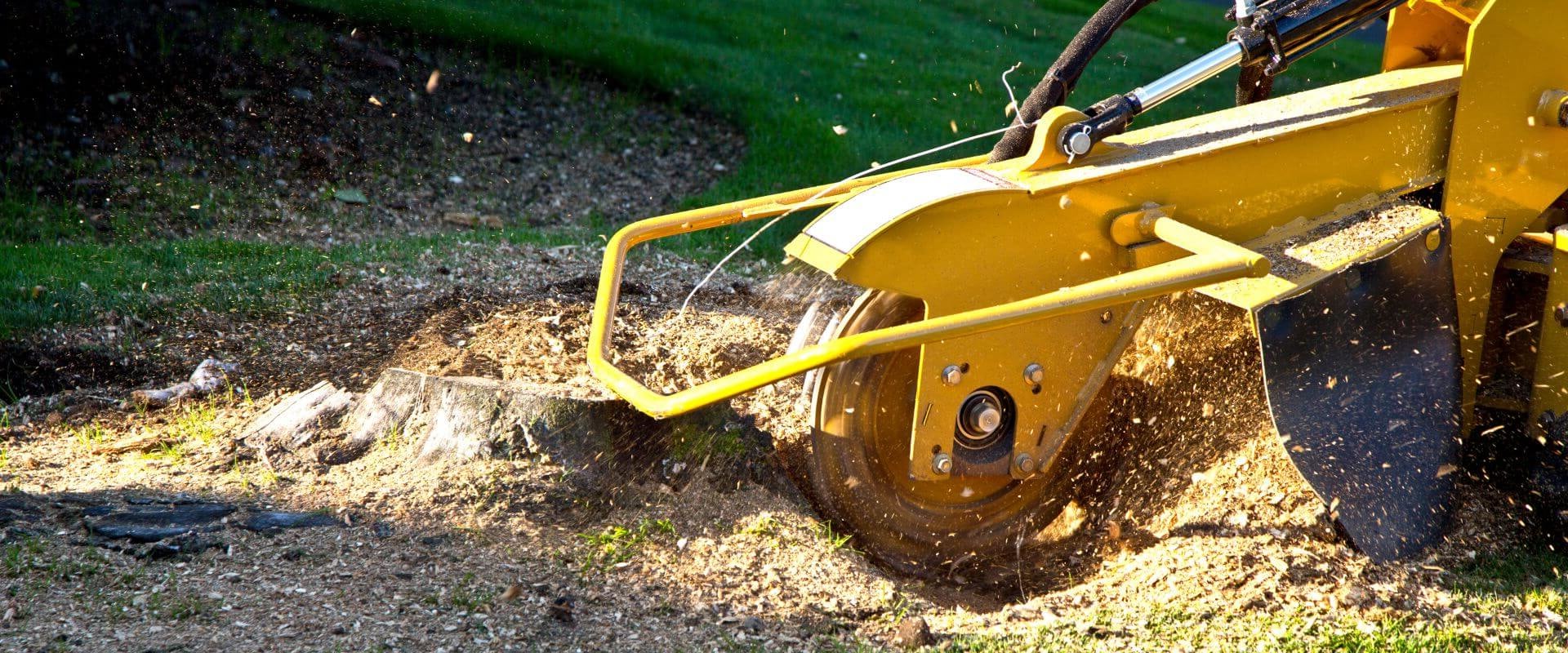 From Tree Removal To Stump Grinding: Ensuring A Smooth Process In Honolulu