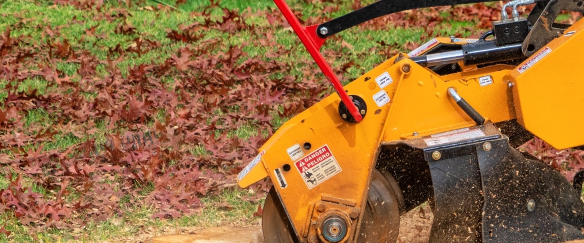 Transform Your Yard: The Complete Benefits Of Stump Grinding In Portland