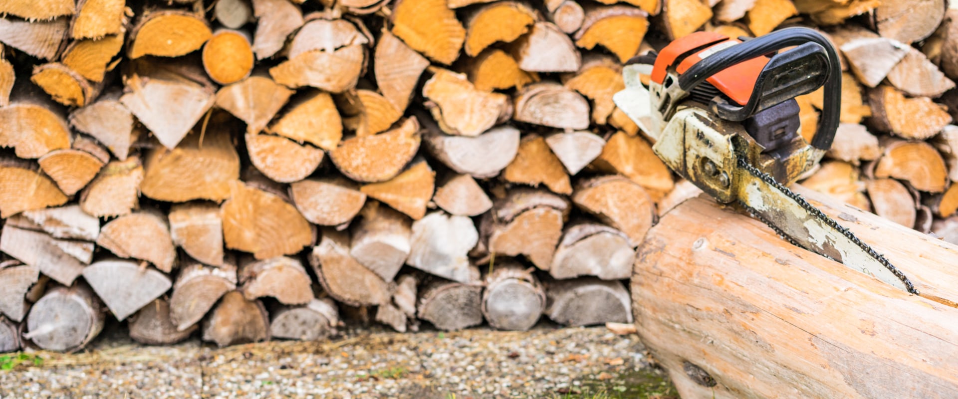 Stump Grinding Services In MS: What You Should Know