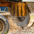 Top Reasons Why Residents Should Only Use Arborist Service For Stump Grinding In Berkeley County