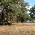 Unearthing The Benefits Of Stump Grinding In Leesburg, VA