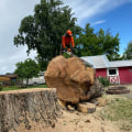 Eliminate Eyesores With Expert Stump Grinding Services In Oregon