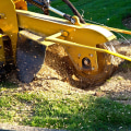 From Tree Removal To Stump Grinding: Ensuring A Smooth Process In Honolulu