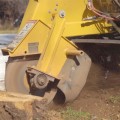Everything You Need to Know About Stump Grinding
