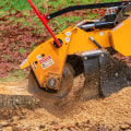 Transform Your Yard: The Complete Benefits Of Stump Grinding In Portland