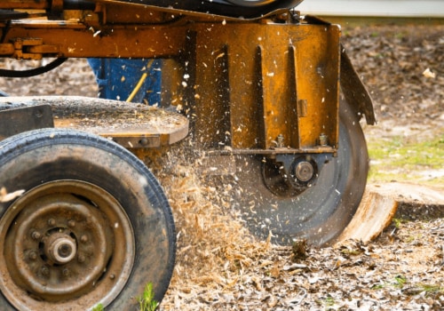 Top Reasons Why Residents Should Only Use Arborist Service For Stump Grinding In Berkeley County