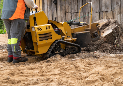 Why Stump Grinding Is Essential For Your Scottsdale Property