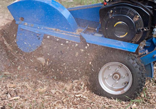 Everything You Need to Know About Stump Grinding