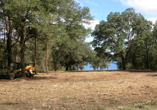 Unearthing The Benefits Of Stump Grinding In Leesburg, VA