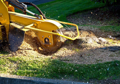 Stump Removal Made Easy: Discover The Benefits Of Professional Stump Grinding In Pakenham