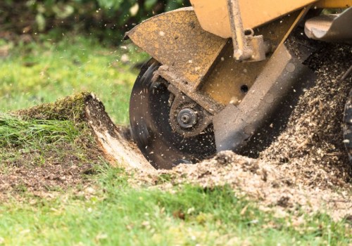 What Does Stump Grinding Look Like?