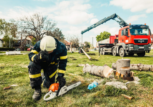 The Importance Of Hiring A Tree Care Contractor For Stump Grinding In Groveland, MA