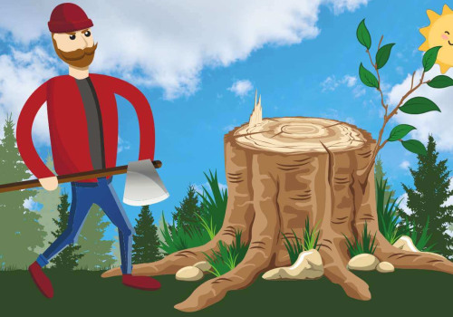 Saying Goodbye To Stumps: Why Stump Grinding Is A Must After Tree Service In Pembroke Pines