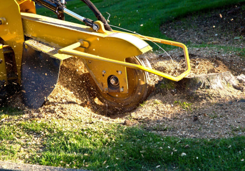 From Tree Removal To Stump Grinding: Ensuring A Smooth Process In Honolulu