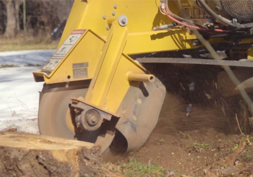 Everything You Need to Know About Stump Grinding