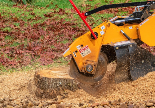 Transform Your Yard: The Complete Benefits Of Stump Grinding In Portland