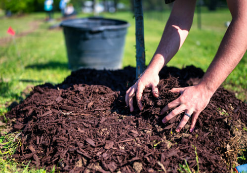 From Eyesore To Oasis: How Mulch Services And Stump Grinding Can Revitalize Your Northern Virginia Property