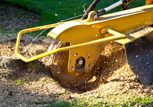 Why is Stump Grinding So Expensive?